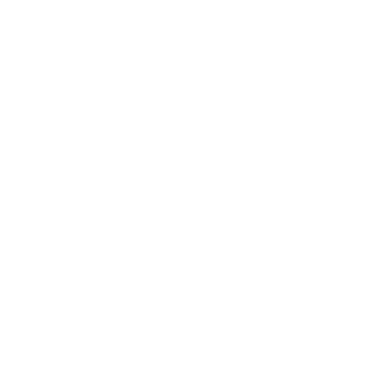 Mobile Detailing