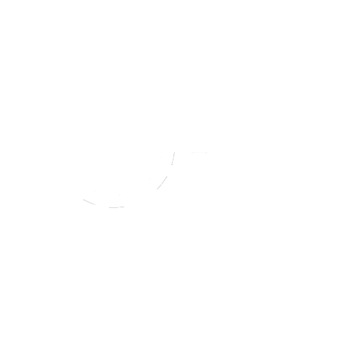 Mobile Detailing & Valeting Services